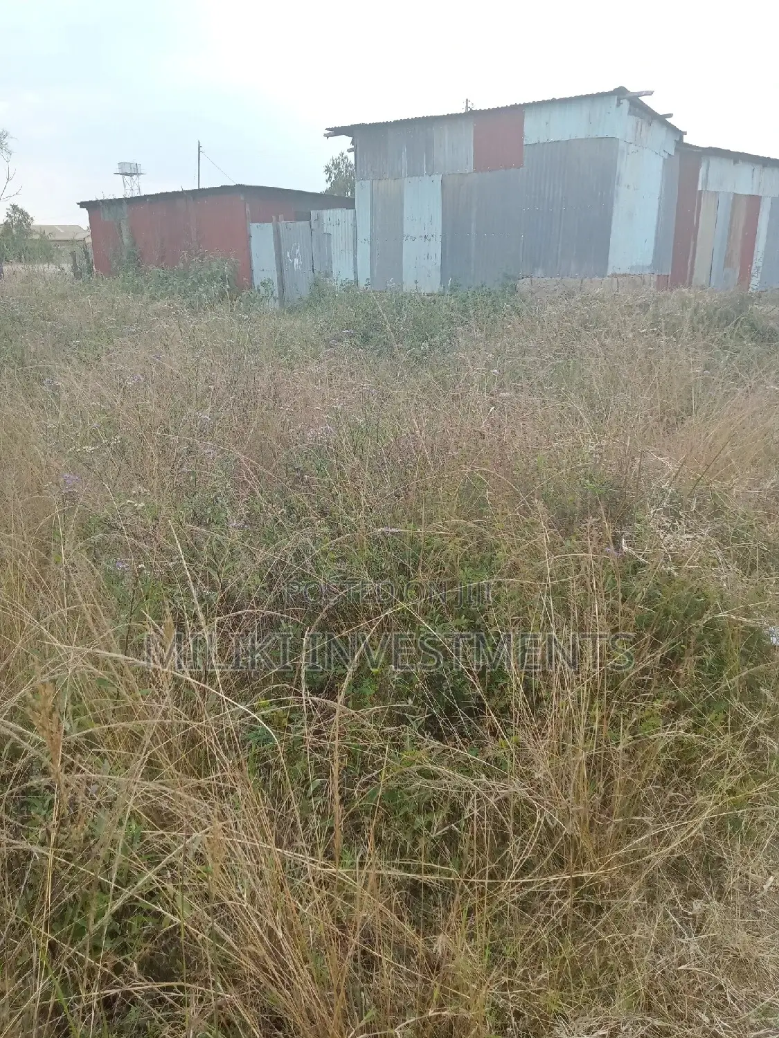 Two Forty by 80 Plots on Sale at Kenol Town.