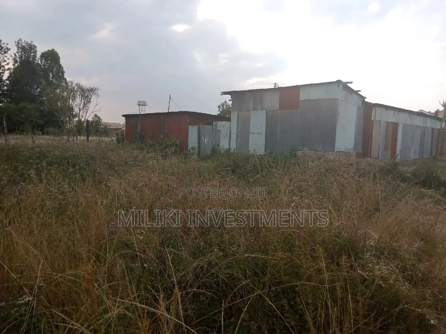 Two Forty by 80 Plots on Sale at Kenol Town.