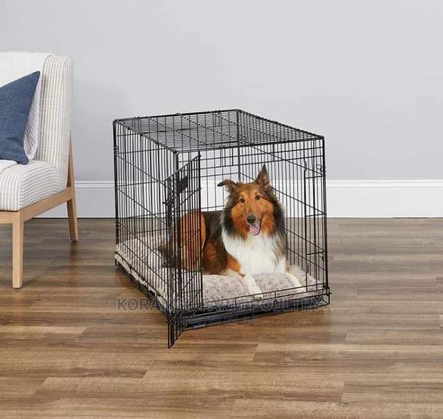 Pets House - main view