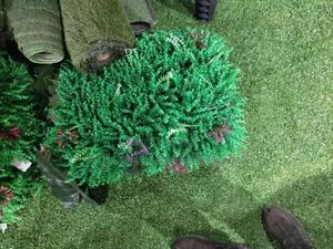 Aquarium Grass Carpet Bigger - thumbnail 2