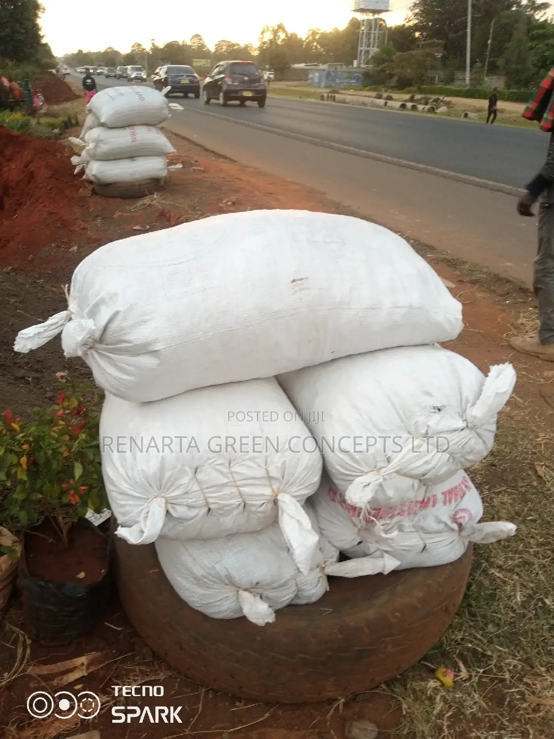 Goat Manure