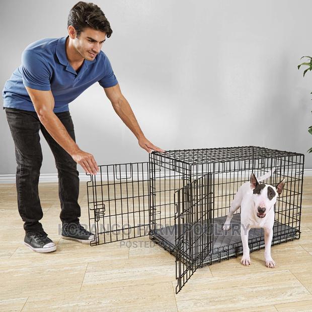 4 Months Pet Cages - main view