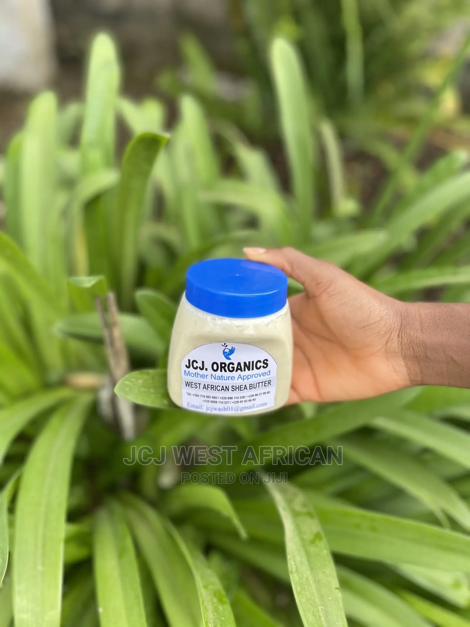 Pure West African Shea Butter