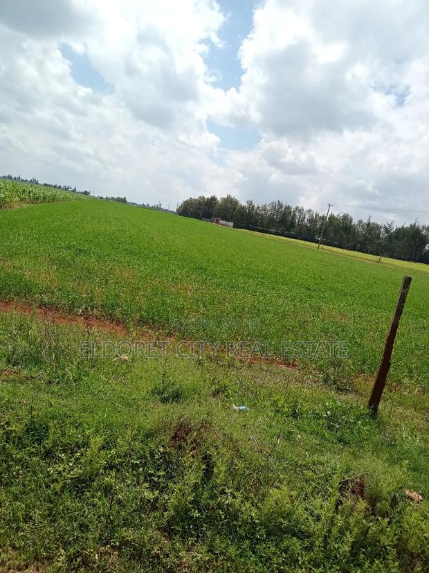 1/2 Acre Marura Less Than 500metres From Tarmac