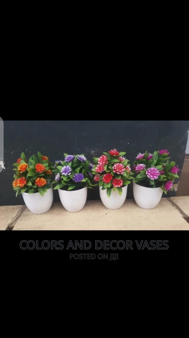 Bonsais Potted Plants - thumbnail 8