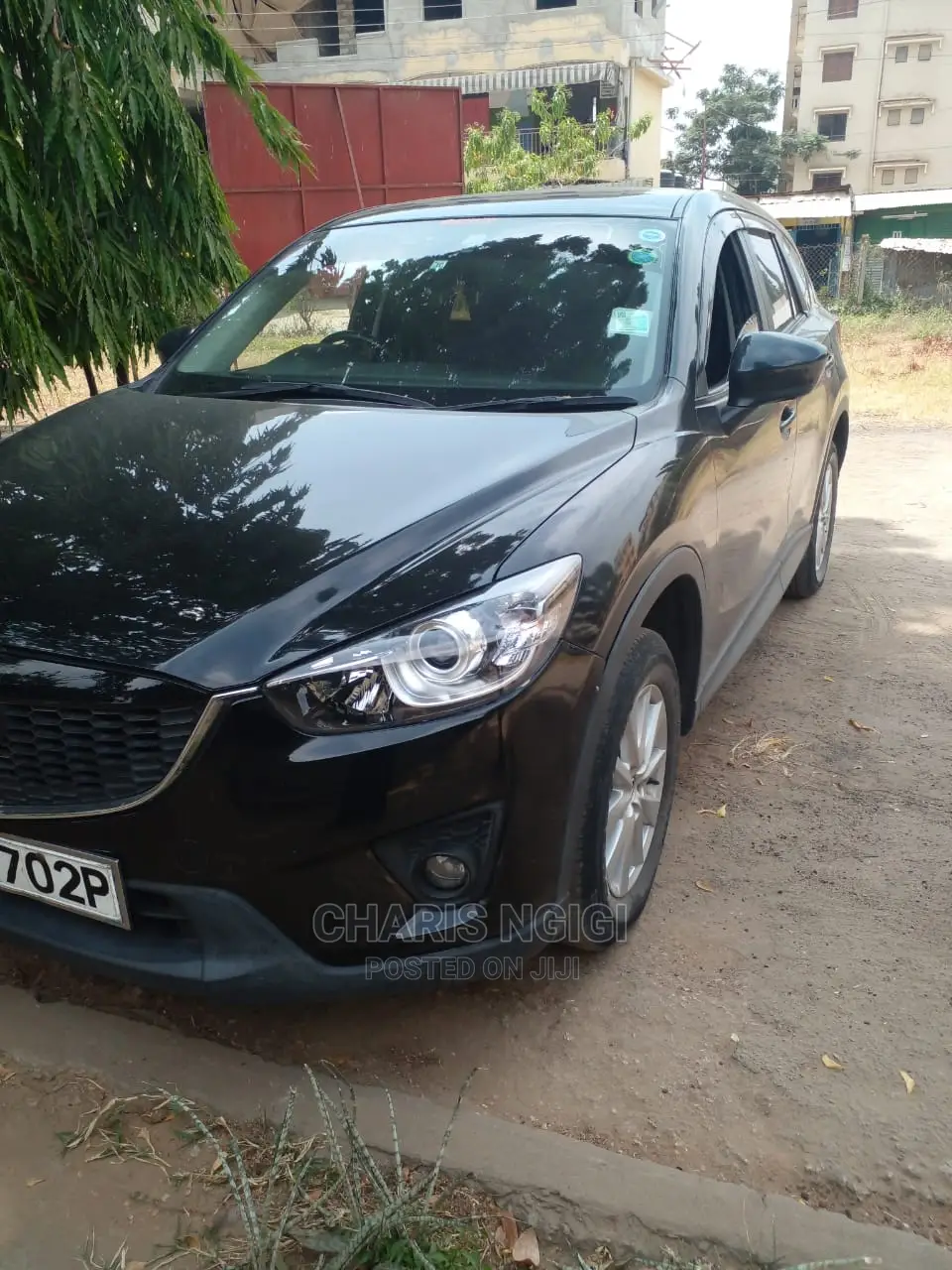 Car Hire Services