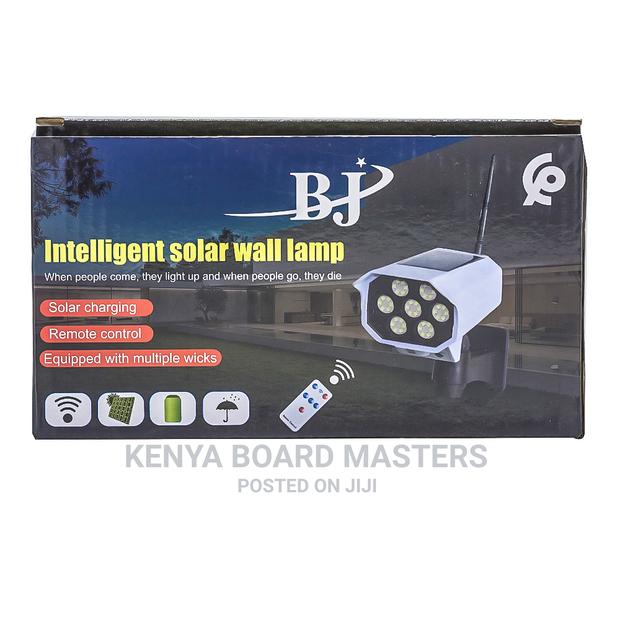 Solar Motion Sensors- Dummy Camera BJ - main view