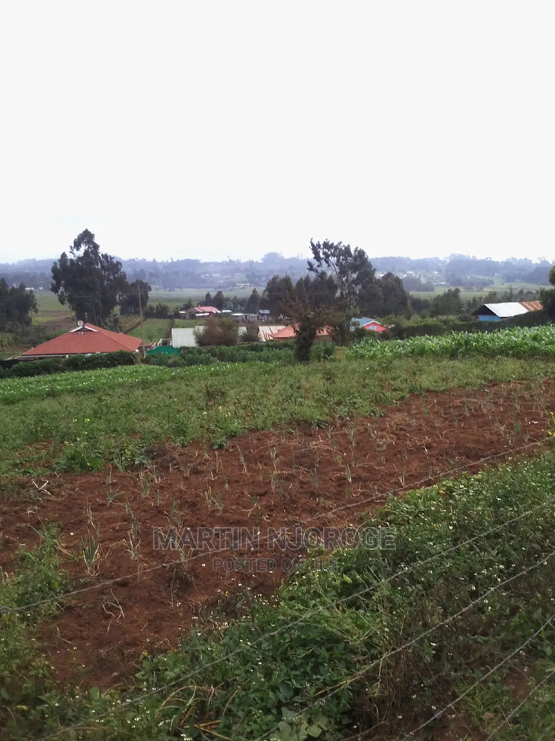 0.75 Acres Uplands ( Nyambari) Lari