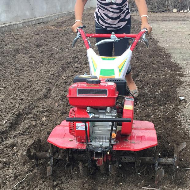 Small Tiller Working Rotary Tillage