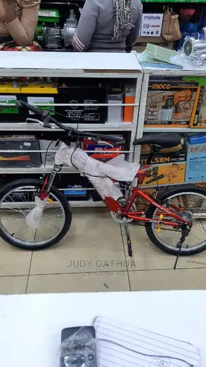 Bike 20" Maroon