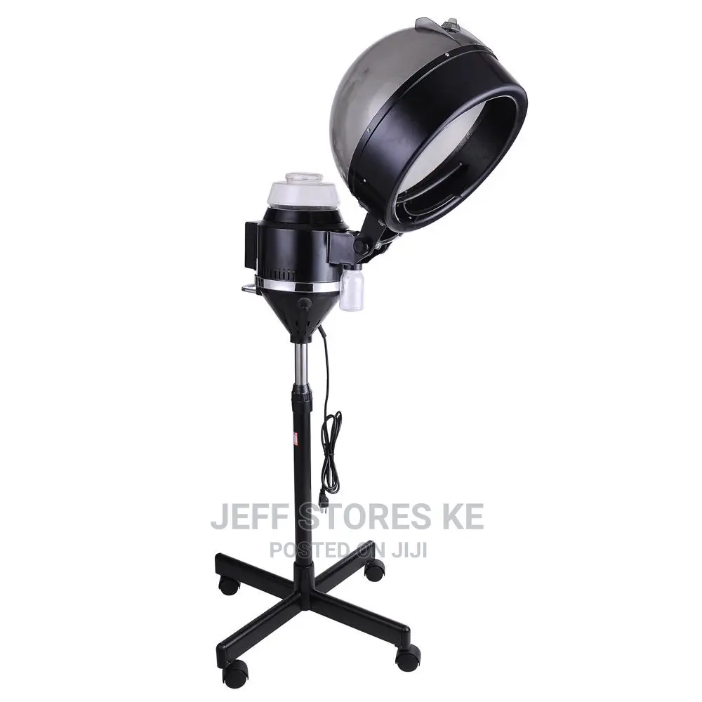 Standing Hair Steamer