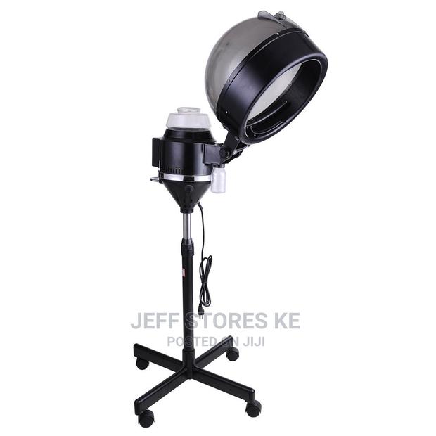 Standing Hair Steamer - main view