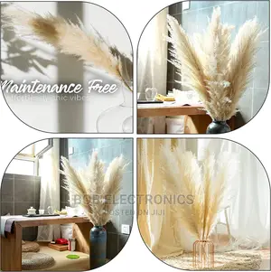 Naturally Dried Long and Fluffy Pampas Grass