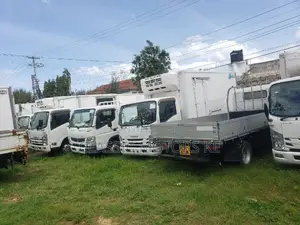 Isuzu Elf, 2 Ton and Other Trucks
