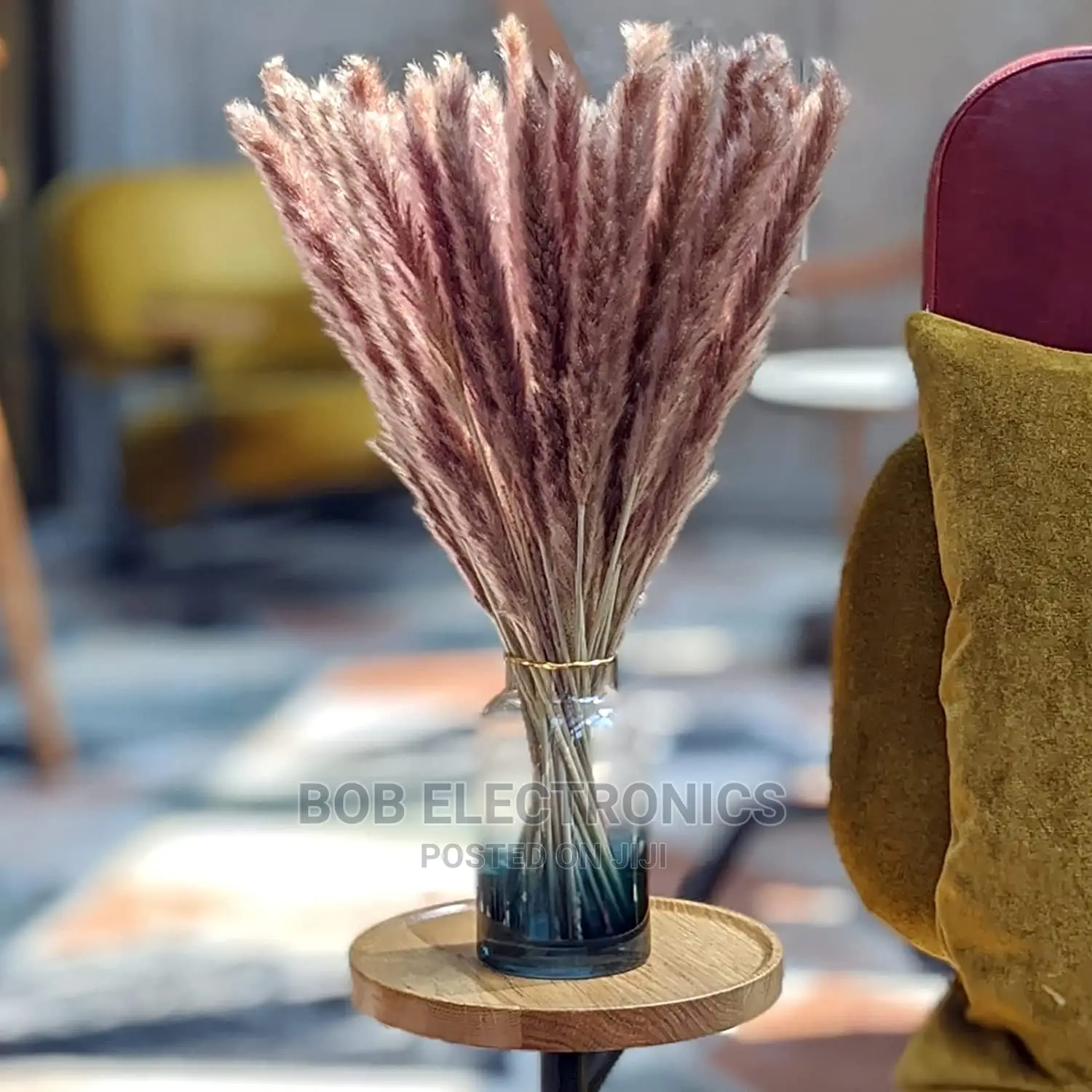 Brown Pampas Grass