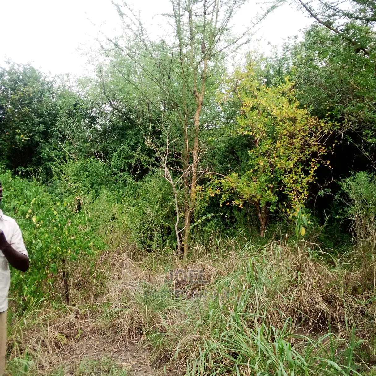 Malindi 12 Acres Land for Sale