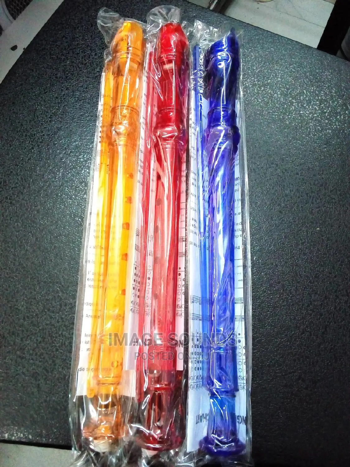 Flute-Recorder Coloured