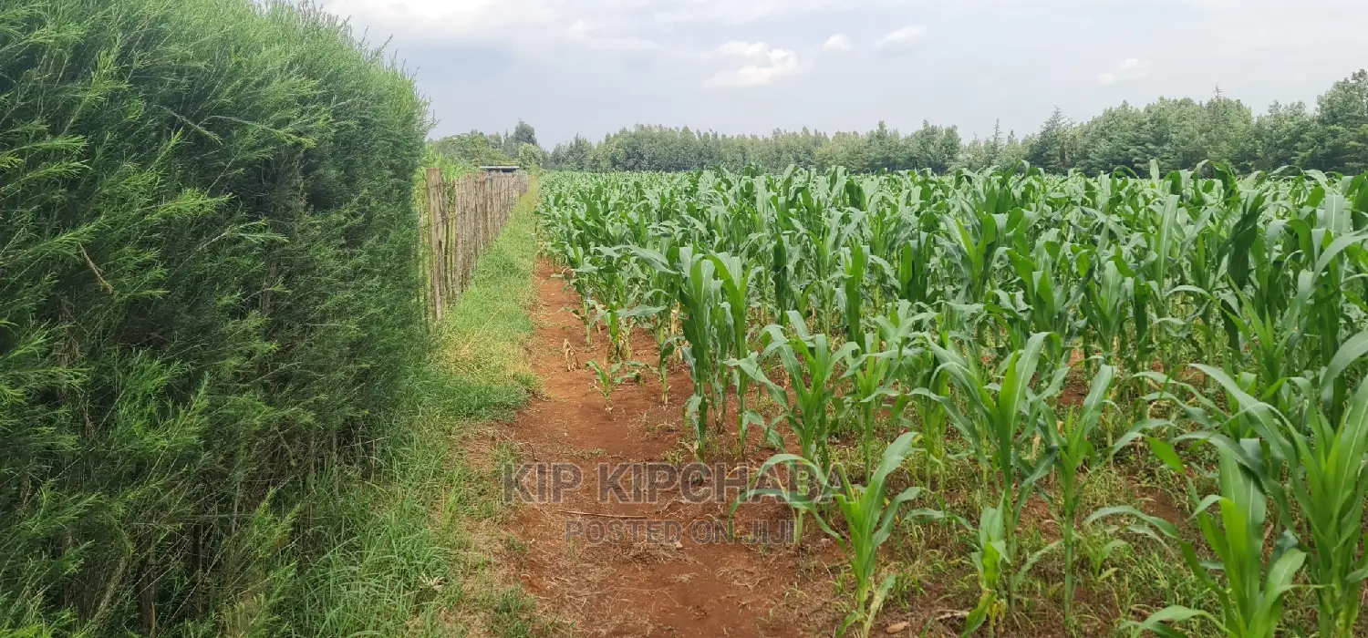 1⁄4 Plots for Sale Lemook Kapseret in Eldoret