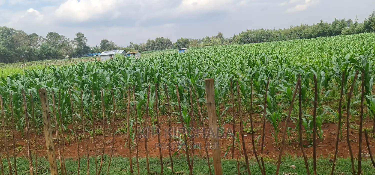 1⁄4 Plots for Sale Lemook Kapseret in Eldoret