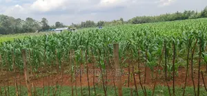 1⁄4 Plots for Sale Lemook Kapseret in Eldoret