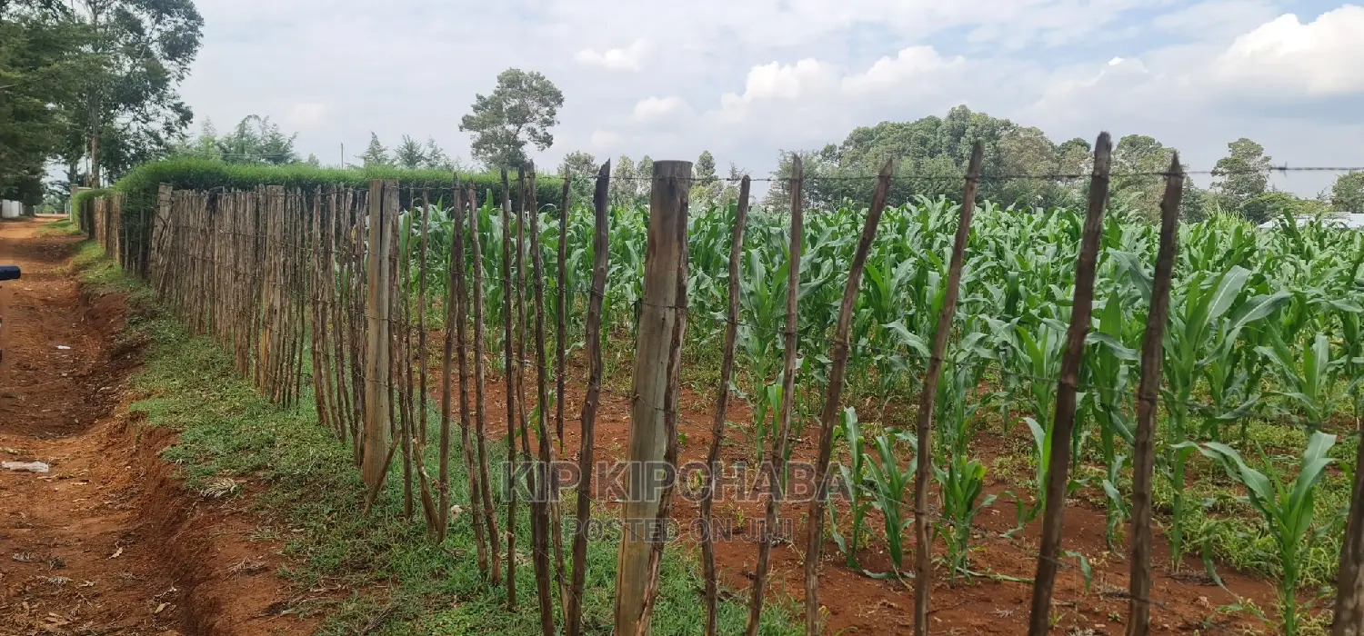 1⁄4 Plots for Sale Lemook Kapseret in Eldoret