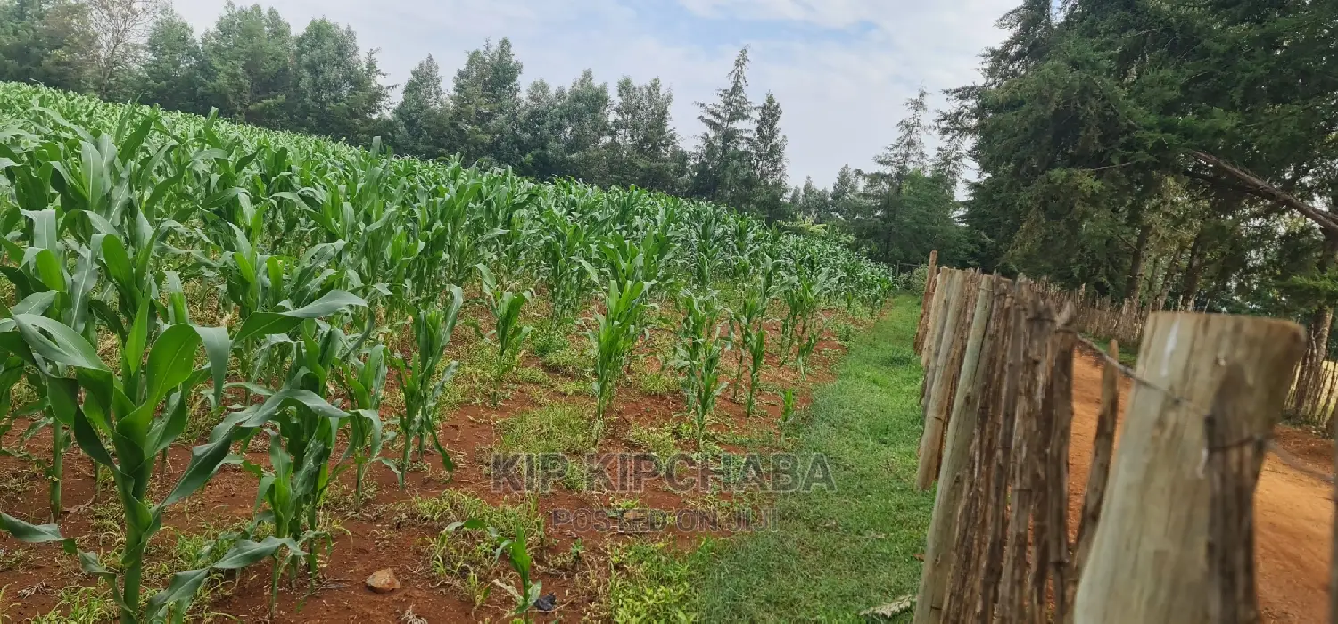 1⁄4 Plots for Sale Lemook Kapseret in Eldoret