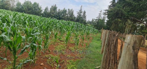 1⁄4 Plots for Sale Lemook Kapseret in Eldoret - thumbnail 9