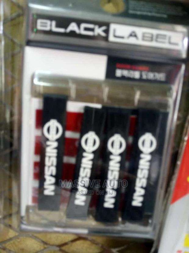 Nissan Door Guards - main view