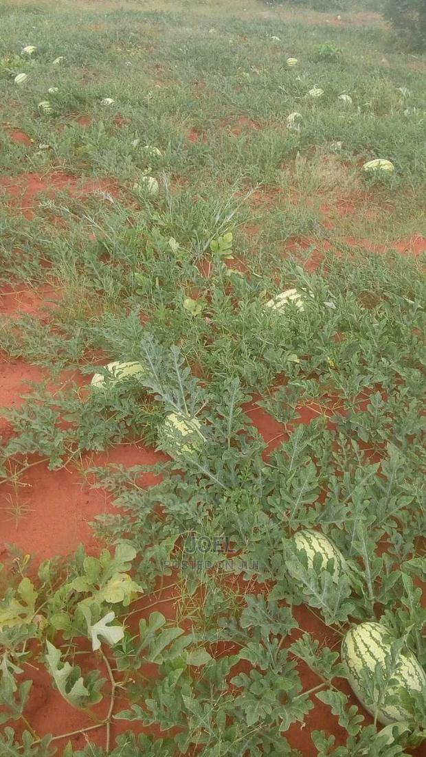 Malindi 3 Acres Land on Sale - main view