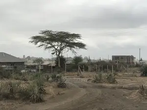 5 Acre Katani for Sale