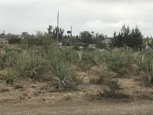 5 Acre Katani for Sale