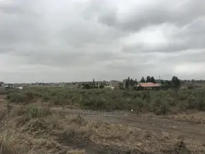 5 Acre Katani for Sale
