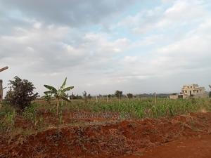 40*80 Prime Plot at Kiora Estate Kiambu on - thumbnail 2