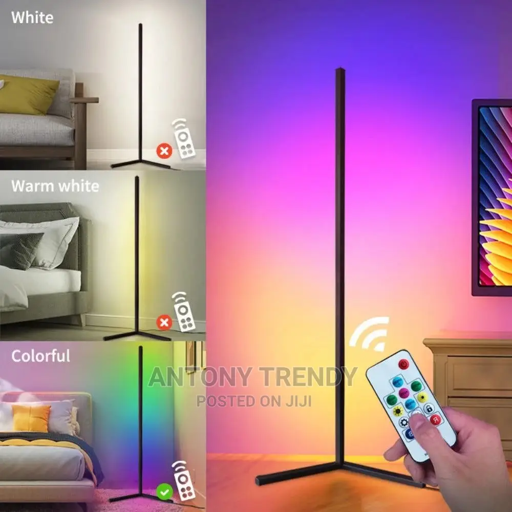 Dimmable RGB Corner Floor Lamp