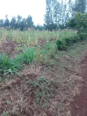Matuu 5 Acres Land