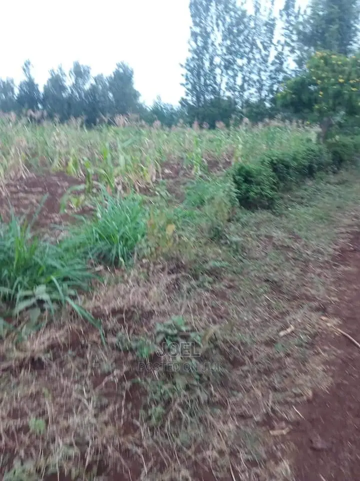 Matuu 5 Acres Land
