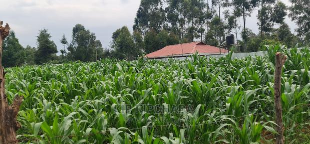 Plots for Sale in Mailli Nne Eldoret. - main view