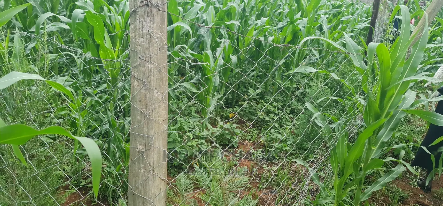 Plots for Sale in Mailli Nne Eldoret.