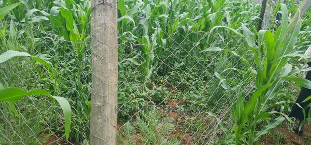 Plots for Sale in Mailli Nne Eldoret. - thumbnail 4