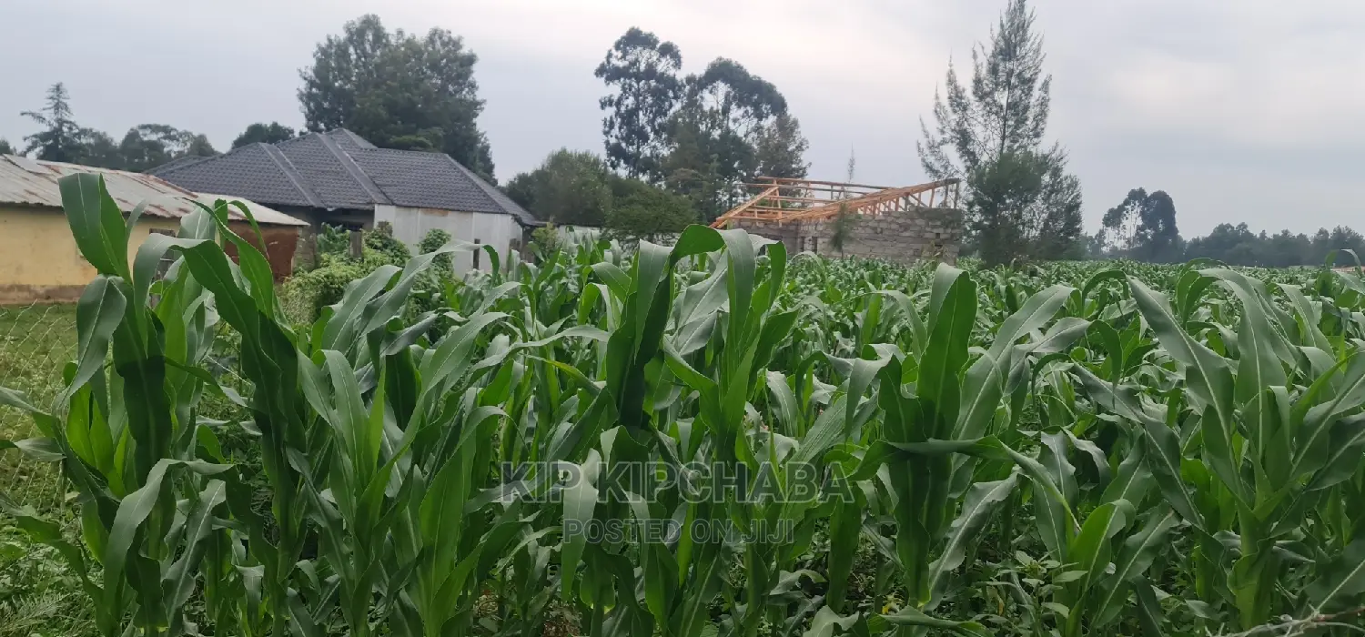 Plots for Sale in Mailli Nne Eldoret.