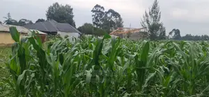 Plots for Sale in Mailli Nne Eldoret.