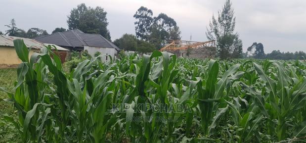 Plots for Sale in Mailli Nne Eldoret. - thumbnail 6