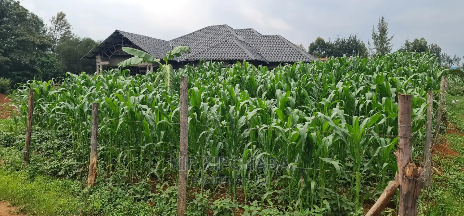Plots for Sale in Mailli Nne Eldoret.