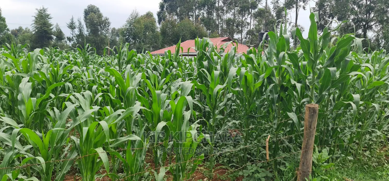 Plots for Sale in Mailli Nne Eldoret.