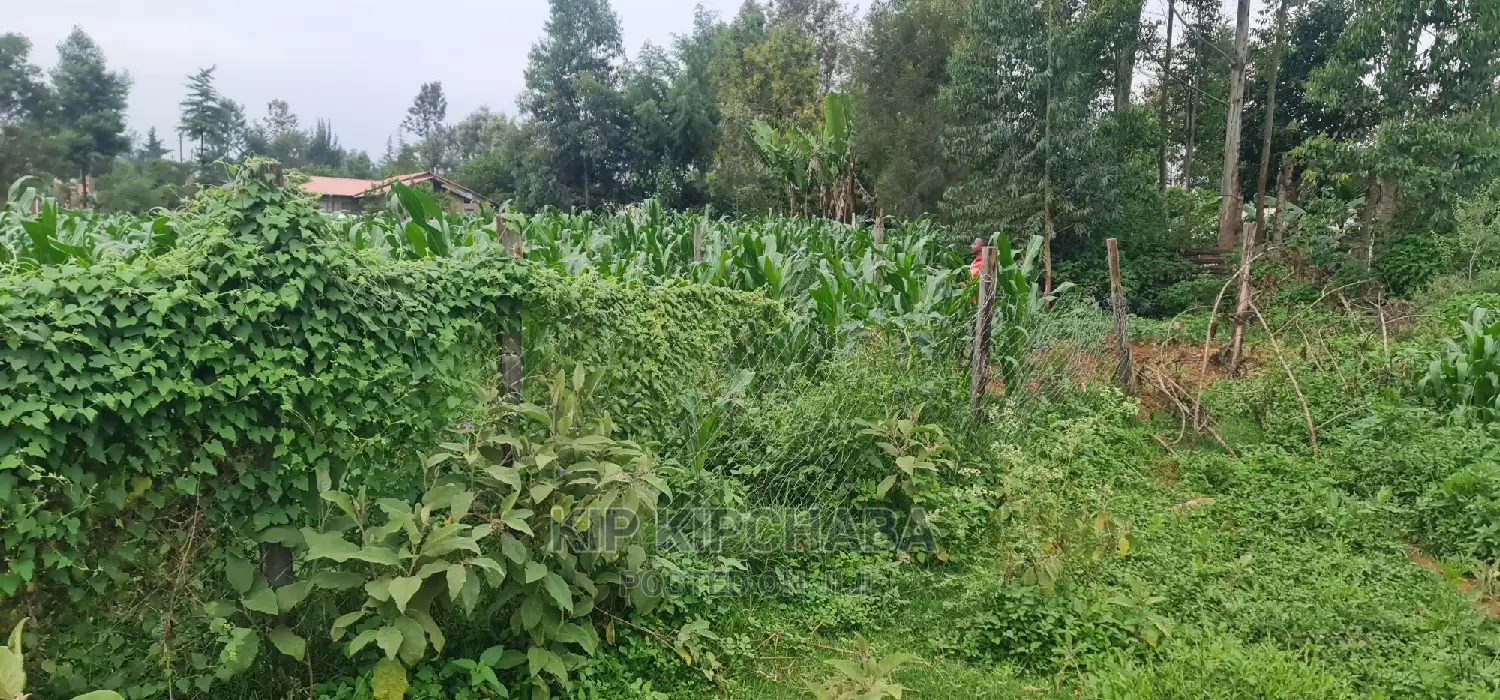 Plots for Sale in Mailli Nne Eldoret.