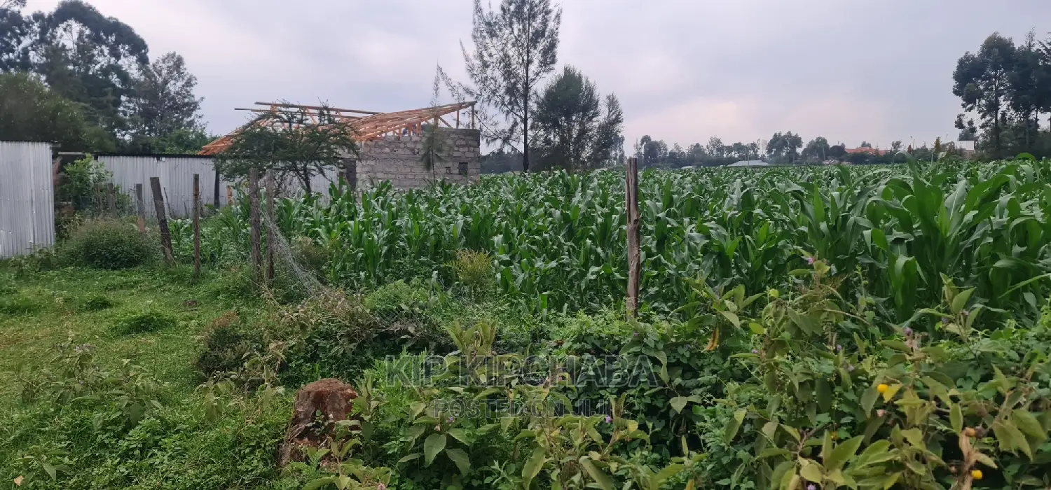 Plots for Sale in Mailli Nne Eldoret.