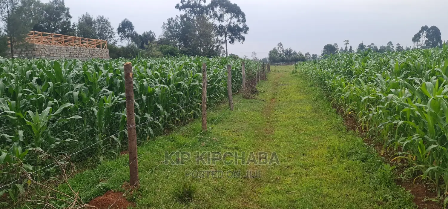 Plots for Sale in Mailli Nne Eldoret.