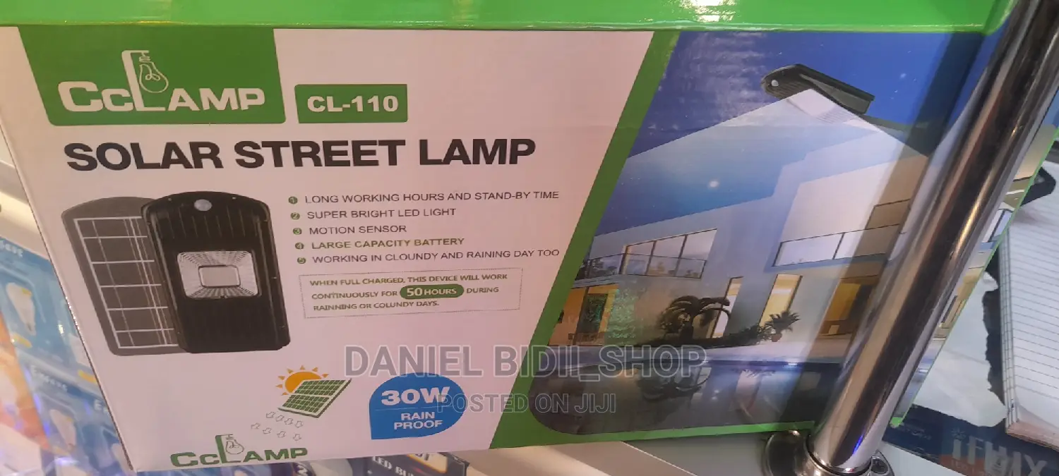 CL House/Street Lamp 30w Rain Proof