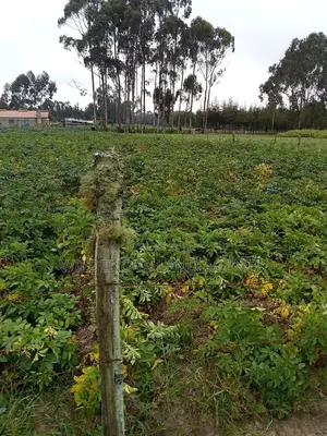 1 Acre on Sale at Mukiri Kwaharaka Kinangop
