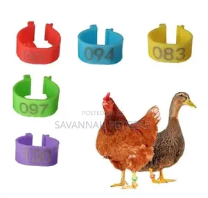 Numbered Chicken Duck Goose Parrots Identification Leg Bands